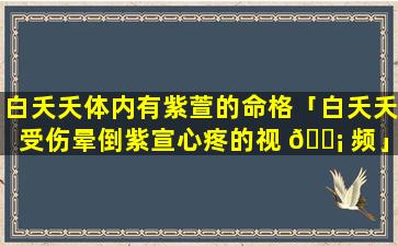 白夭夭体内有紫萱的命格「白夭夭受伤晕倒紫宣心疼的视 🐡 频」